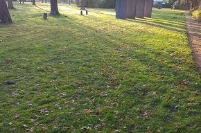 Parkähnlicher Friedhof